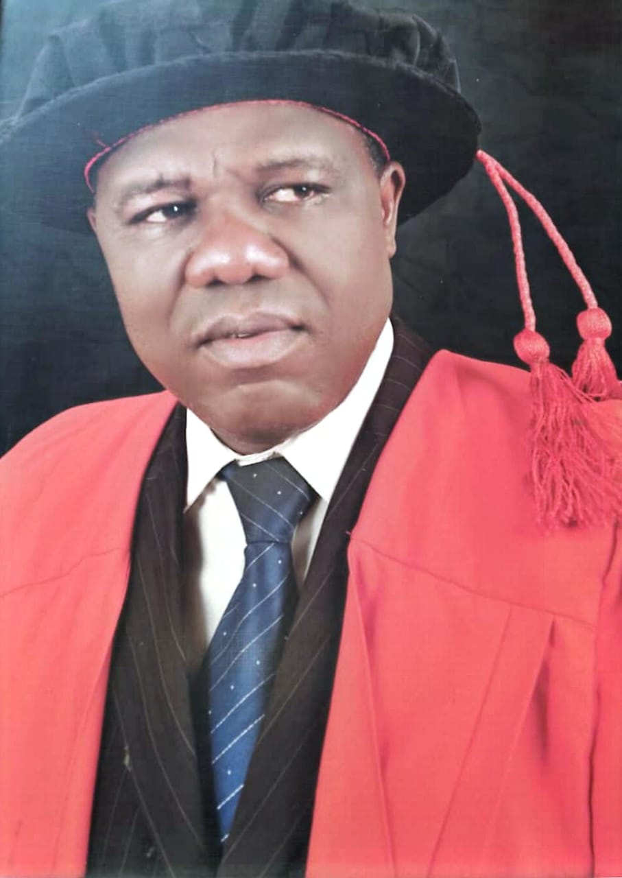 Professor Wilfred Ugwuanyi - Director